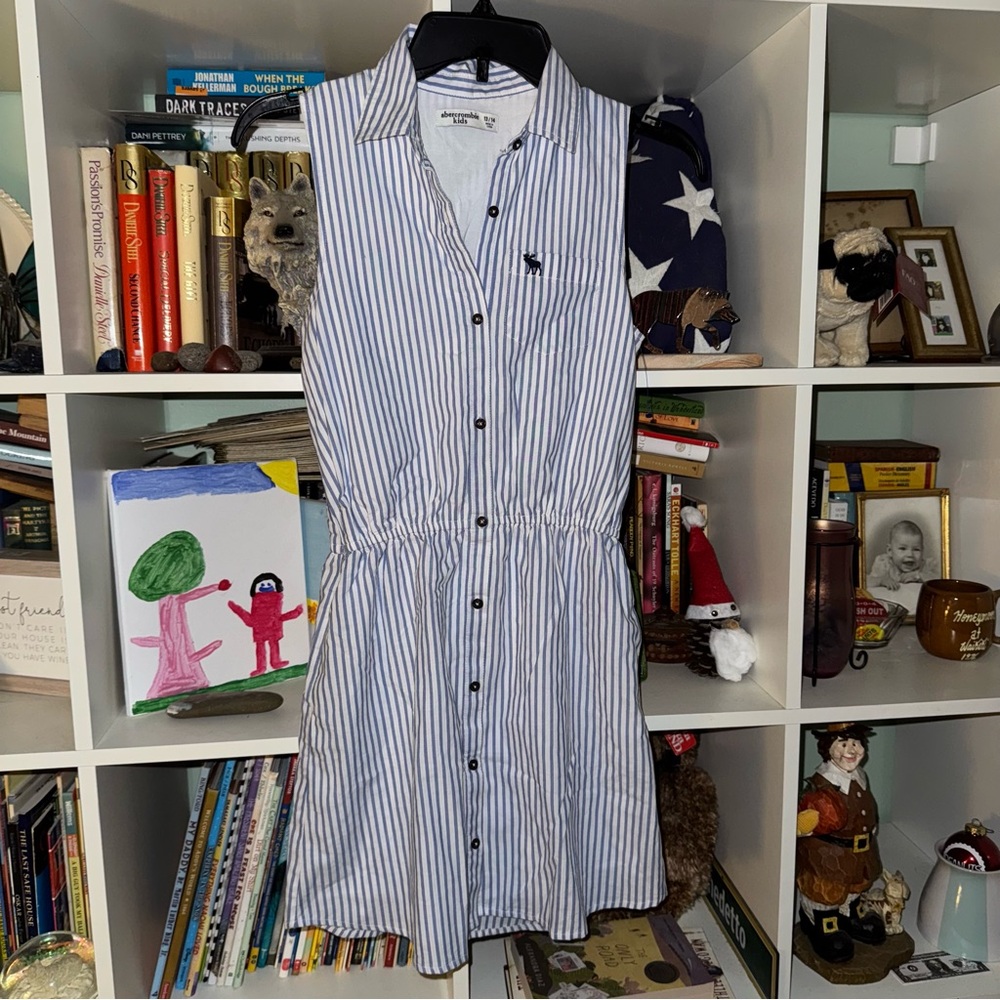 Abercrombie Kids Blue and White Sleeveless, Summer, Striped Seersucker Dress
